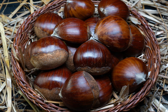 The quintessential autumn fruit: the chestnut