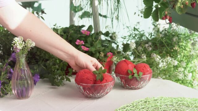 Woman places glass bowls of homemade strawberry sorbet garnished with fresh mint on a table in a lush balcony garden. Simple summer dessert scene with fresh fruit sorbet served outdoors