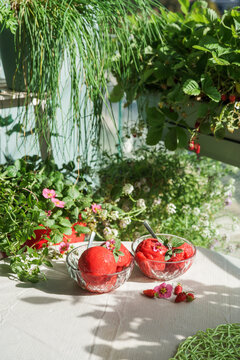 Refreshing homemade strawberry sorbet served on a sunny table surrounded by abundant herbs, flowers and strawberry plants in a lush urban balcony garden