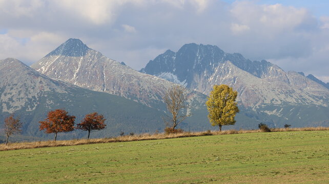 Autumn mountain landscape featuring snow-dusted peaks of the High Tatras in Slovakia, with colorful deciduous trees along a grassy meadow beneath a partly cloudy sky.