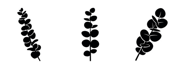 Set of eucalyptus leaves and branches icons. Black silhouettes of floral decor elements for design. © Lili