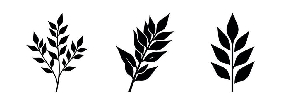 Set of generic leafy branches icons. Black silhouettes of various plant foliage for natural design elements.
