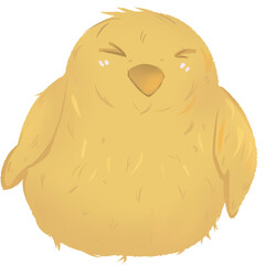 baby chick © Sarocha