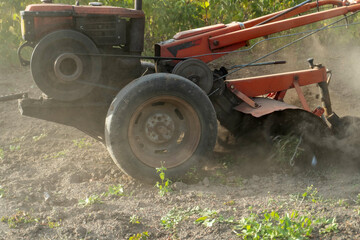 Tractor plows dry soil with rear implement, turning rough earth in dusty field. Farm machinery tills ground among sparse weeds, with sunlight filtering through trees behind it. Plow breaks soil as © Віталій Б.