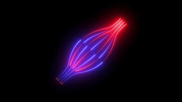 glowing neon Muscle fiber icon isolated on black background. representing muscular anatomy, muscle fibers, body movement, strength, and musculoskeletal function. 4k video animation.