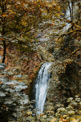 waterfall in autumn forest © Justin