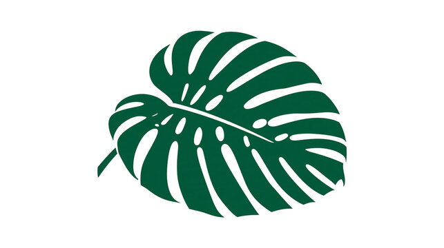 Isolated vibrant green monstera deliciosa tropical leaf illustration, a natural botanical plant element.