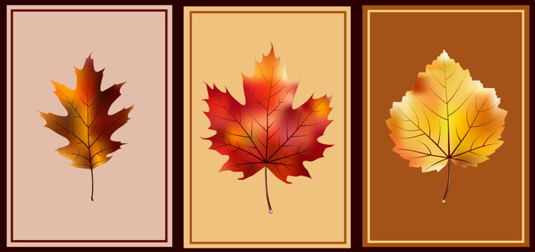 A 3-panel vector wall art set featuring detailed autumn leaves including oak, maple, and aspen in warm fall colors, presented in framed panels