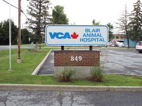 Gloucester, Ontario, Canada &ndash; August 03, 2025: A sign for "VCA Canada Blair Animal Hospital" mounted on a brick base stands in front of a parking lot on Shefford Road.   