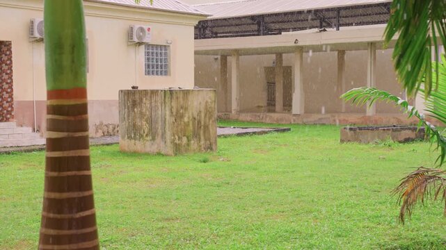 Young man in blue uniform walks through outdoor area during steady rainfall. scene includes green grassy grounds palm tree trunks with striped patterns concrete structures like water tanks