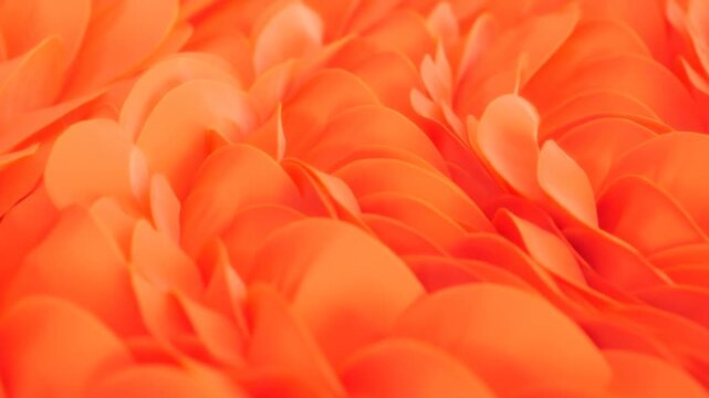 Orange flower petals form dense overlapping layers in a closeup floral pattern