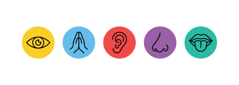 The Five Senses Iconography: A visual representation of the five primary human senses &ndash; sight, smell, hearing, taste, and touch &ndash; depicted as simple, colorful icons.
