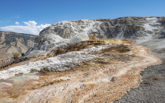 Sinter terraces, hot springs, orange mineral deposits, Palette Springs, Lower Terraces, Mammoth Hot Springs, Yellowstone National Park, Wyoming, USA
