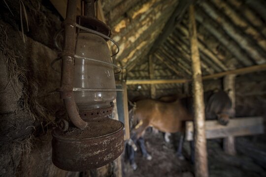 Old oil lamp in horse stable in original peat construction, L&yacute;tingssta&eth;ir, North Iceland, Iceland