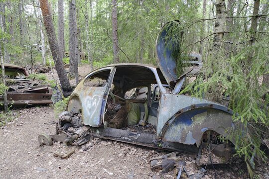 Rusted car in a forest surrounded by trees and nature, Ryd, Kyrk&ouml; Mosse car cemetery, Tingsryd, Sweden