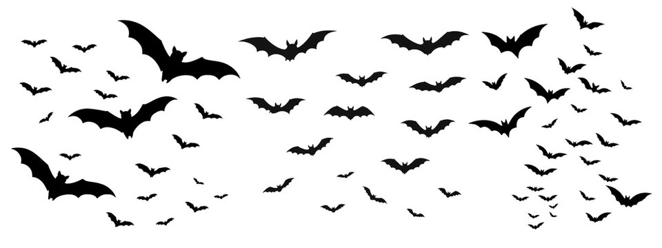 Flock of black bats flying silhouette set isolated on white background for Halloween party decoration, vampire night, and spooky horror design concept
