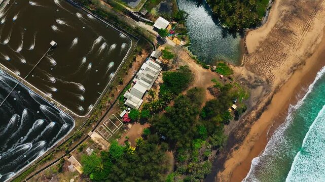 Aerial view of commercial shrimp ponds equipped with active aerators, surrounding vegetation, and coastal waves in Malang, East Java, Indonesia.