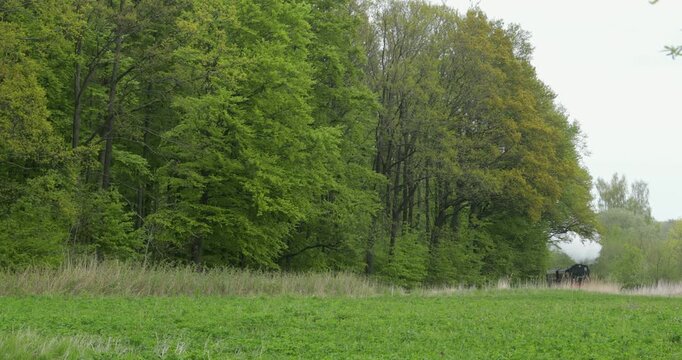Molli steam train near Heiligendamm, Mecklenburg-Western Pomerania, Germany