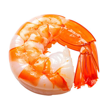 Fresh cooked prawn shrimp isolated as a delicious seafood ingredient for culinary recipes presented on transparent background