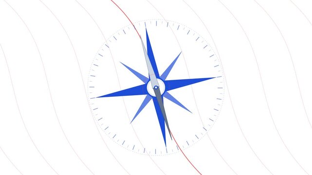 Isogonic Magnetic Declination Map with Rotating Compass Rose and Agonic Alignment for Nautical Navigation Systems