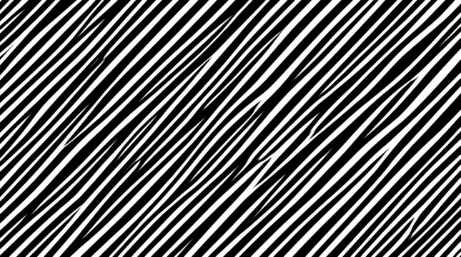 Black and White Wavy Zebra Stripe Pattern