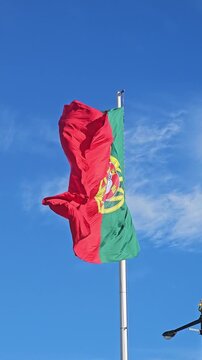 Portugal flag blowing close to center flagpole vertical video