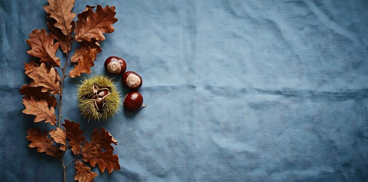 Flat lay composition of autumn oak tree branches with brown leaves and horse chestnuts with spiky green husk on textured blue textile background