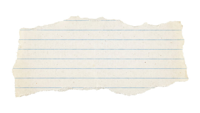 A blank piece of torn lined paper with a rough edge, isolated on a white background, perfect for notes