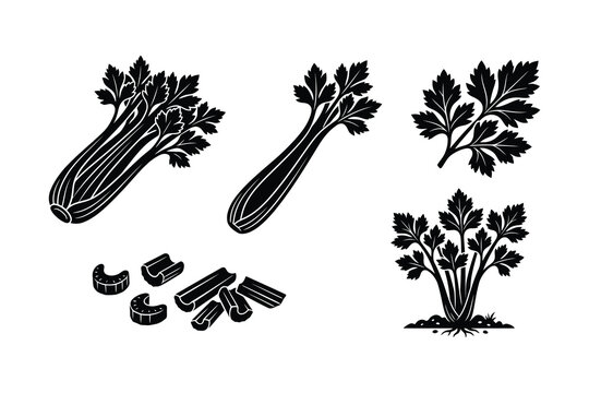 Set of black and white celery silhouettes with stalks and leaves