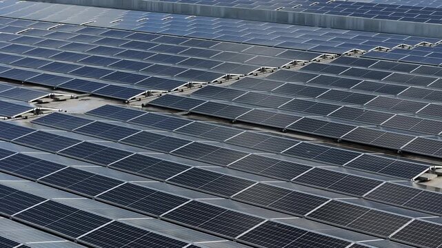 Aerial view of rows of photovoltaic solar panels installed on a large industrial rooftop in Weert, Limburg, Netherlands.