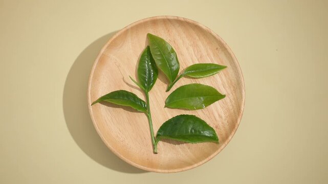 360-degree video of fresh green tea leaves arranged on a round wooden plate, highlighting leaf shapes, natural veins and glossy surfaces for tea brands, botanical content and ingredient advertising.