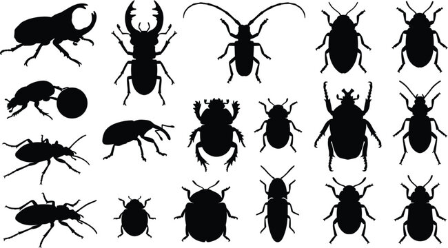  Beetle vector silhouettes set featuring stag beetle scarab weevil dung beetle longhorn and various insect species icons,