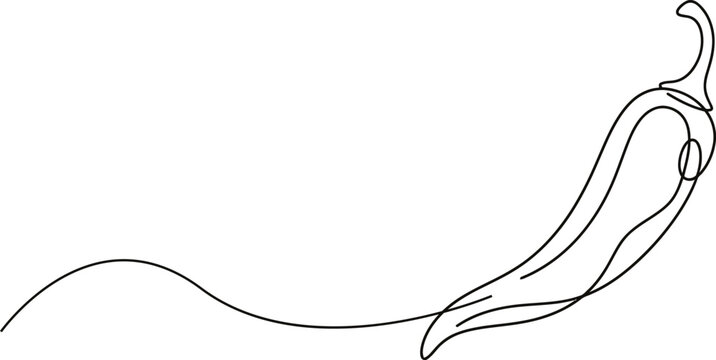 Chili pepper continuous one line drawing