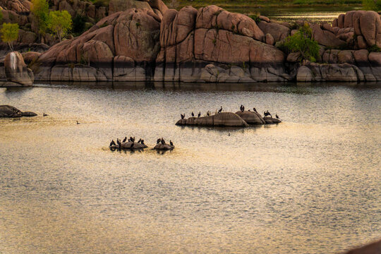the Prescott Dells in Arizona