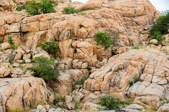 the Prescott Dells in Arizona