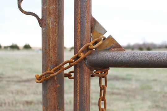 Rusty chain wrapped around a steel livestock gate latch