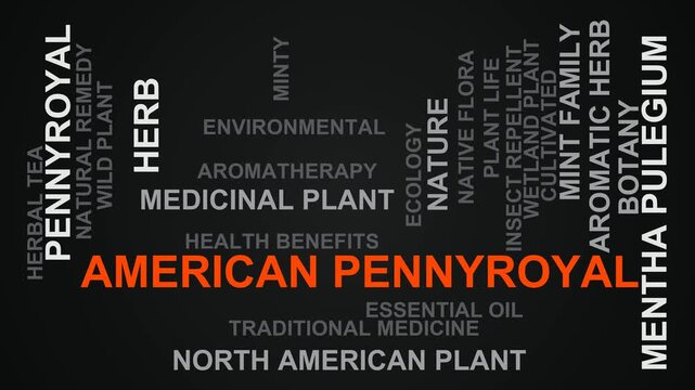 American Pennyroyal Word Cloud