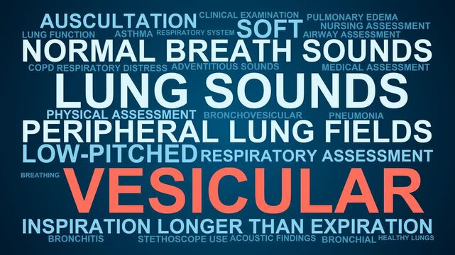 Vesicular Lung Sounds Word Cloud