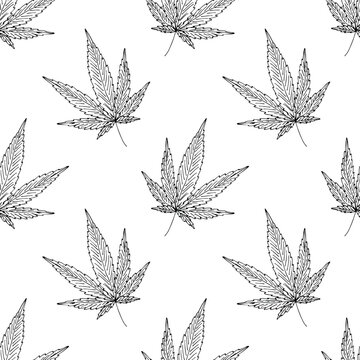 Seamless pattern with hand drawn cannabis leaf Medicine marijuana Hemp leaves For decorative print, wrapping paper, fabric, packaging, background