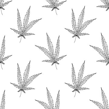 Seamless pattern with hand drawn cannabis leaf Medicine marijuana Hemp leaves For decorative print, wrapping paper, fabric, packaging, background