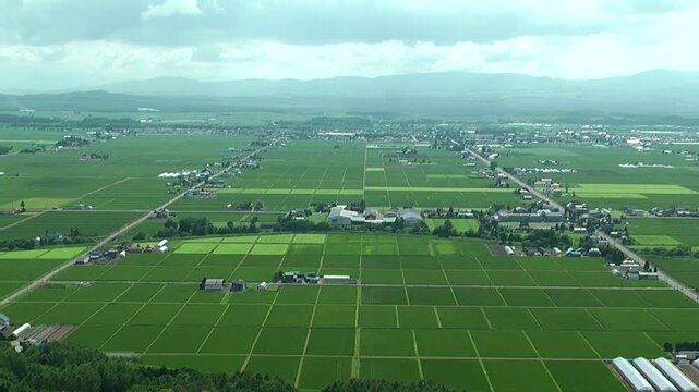夏の田園地帯