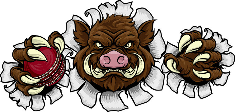 A wild boar, hog razorback warthog pig mean tough cartoon sports mascot holding a cricket ball