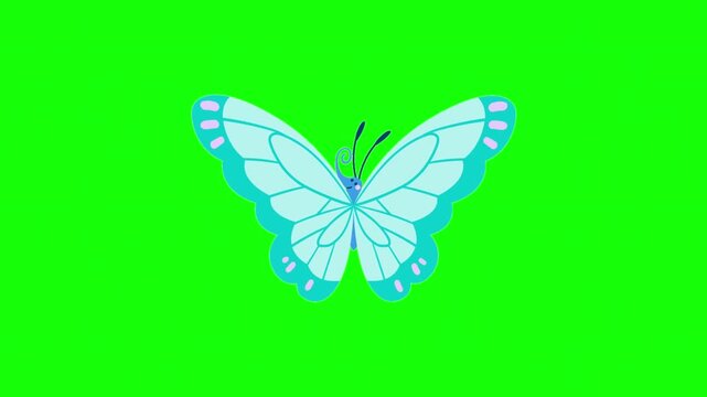 blue butterfly on green background