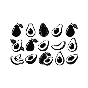 Avocado set with vector