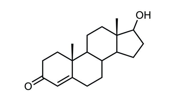 Detailed vector graphic illustration showing the chemical structure of testosterone hormone molecule in black