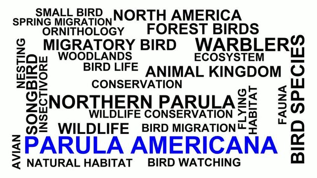 Parula Americana Word Cloud