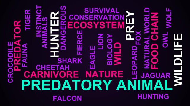 Predatory Animal Word Cloud