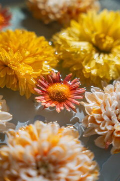 Small orange chrysanthemum floating between yellow and cream flowers in a vertical composition.
