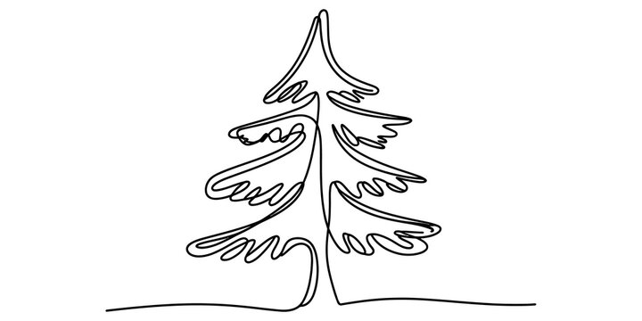 Continuous single line drawing of a pine tree isolated on transparent background