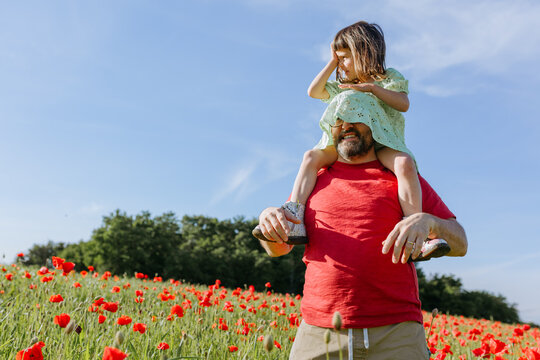 Smiling Father Carrying Daughter on His Shoulders in a Red Poppy Field